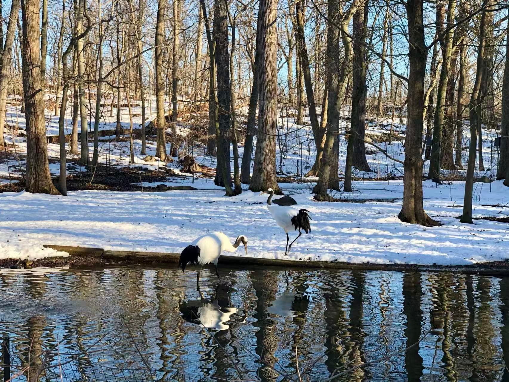Calm treatment room with natural light